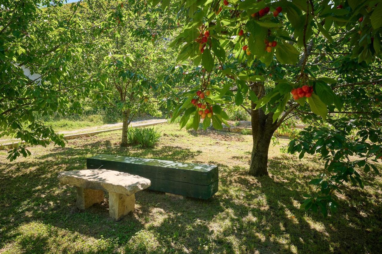 Plasa Villa